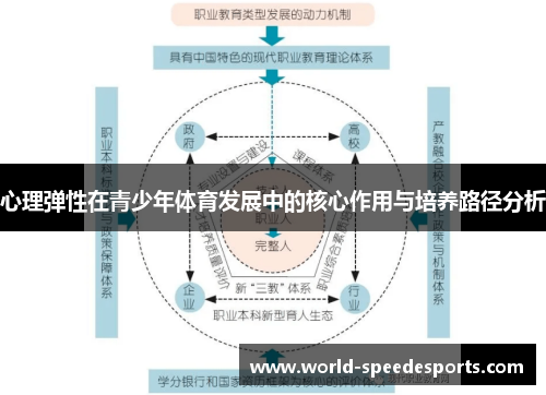 心理弹性在青少年体育发展中的核心作用与培养路径分析