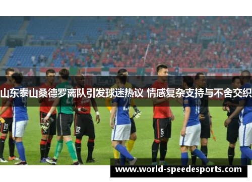 山东泰山桑德罗离队引发球迷热议 情感复杂支持与不舍交织