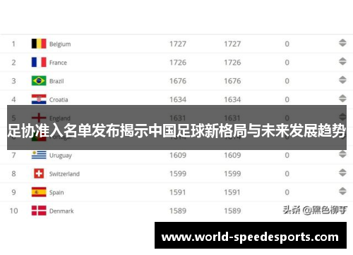足协准入名单发布揭示中国足球新格局与未来发展趋势