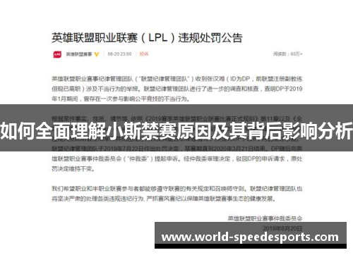 如何全面理解小斯禁赛原因及其背后影响分析