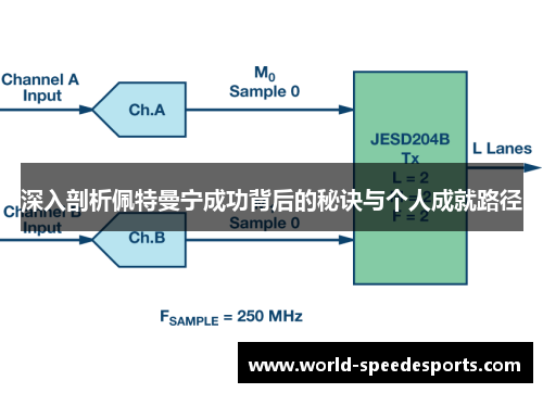 深入剖析佩特曼宁成功背后的秘诀与个人成就路径