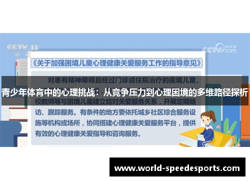 青少年体育中的心理挑战：从竞争压力到心理困境的多维路径探析