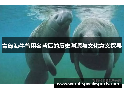 青岛海牛曾用名背后的历史渊源与文化意义探寻